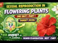 Sexual Reproduction in Flowering Plants 🌺 | One Shot Revision | NEET 2026 | Class 12 Biology