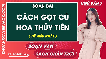 Soạn bài Cách gọt củ hoa thuỷ tiên | Ngữ văn 7 - Chân trời sáng tạo (DỄ HIỂU NHẤT)