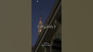 صلوا عليه وسلموا تسليما 😴🤎 تلاوة هادئة ومريحة#راحة نفسية