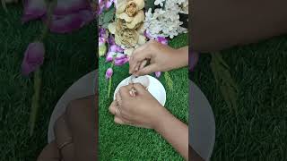 Erfly Chocolate Popscile