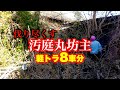 【伐採】草、落ち葉も枯れ木も全て撤去します
