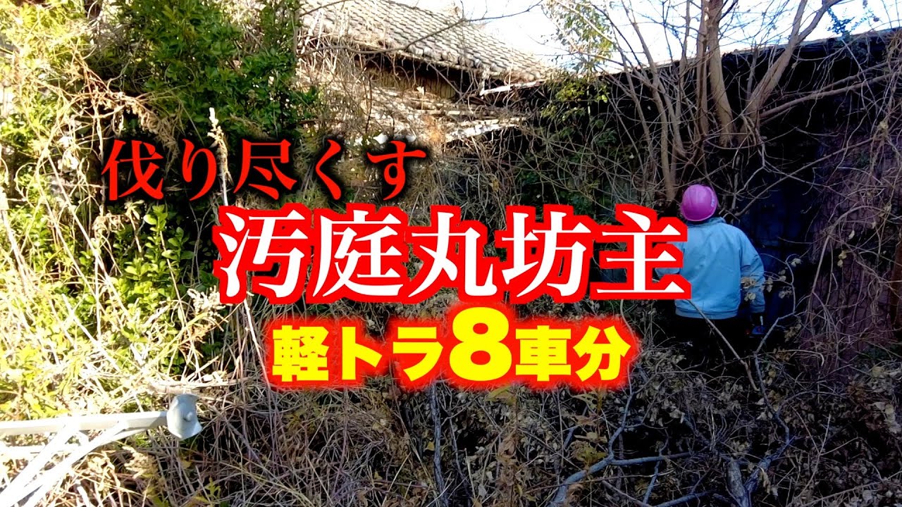 【伐採】草、落ち葉も枯れ木も全て撤去します
