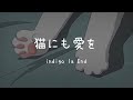 indigo la End - 猫にも愛を [한국어 가사]