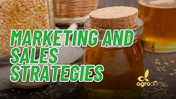 Module 4 | Marketing and Sales Strategies