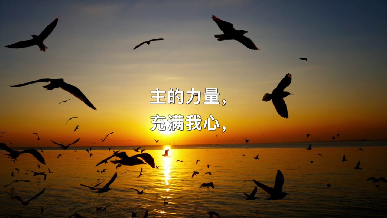Watch Wings of Prayer (Mandarin) 祷告飞扬 (Dao Gao Fei Yang) on YouTube Watch Wings of Prayer (Mandarin) 祷告飞扬 (Dao Gao Fei Yang) on YouTube