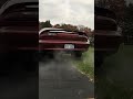 95 lt1 Camaro no cats Flowmaster Idle & Rev #exhaust #exhaustsound #rev #muffler #idle #lt1 #v8