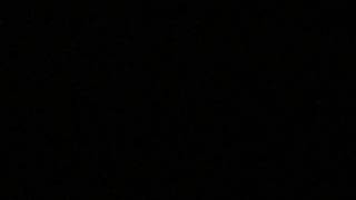 Il Mio Doby Che Russa..appena Spengo La Luce..