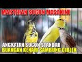 MASTERAN SOGON MASAKINI||BUKAAN SOGON STANDAR BUANGAN KENARI SAMBUNG CIBLEK