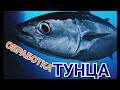 ТУНЕЦ.РАЙОН ПРОМЫСЛА: ЮГО-ВОСТОК ТИХОГО ОКЕАНА(FAO 87)