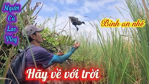 Lại bất ngờ với loại chim trời này vào lờ cá @nguoiculaovlog 