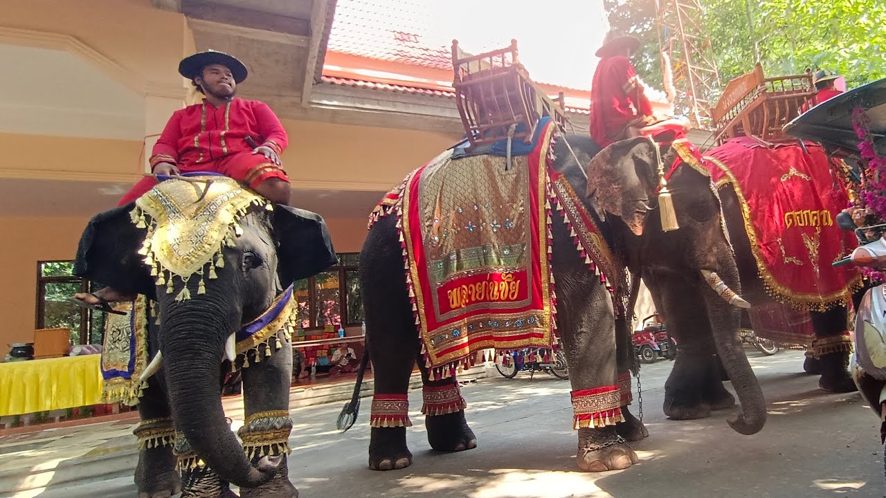 ขบวนแห่ผะเหวดเทศน์มหาชาติ