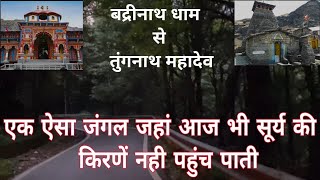 Badrinath to chopta road condition | September 2025  | chopta tungnath current condition