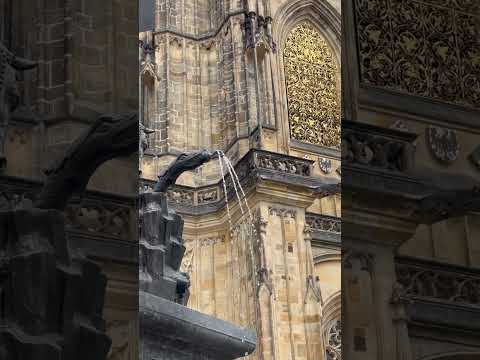 布拉格：上帝親自監工- 跨越七個世紀-不移動城堡 ????聖維特大教堂Prague - St. Vitus Cathedral 2025 July #聖維特大教堂#prague #布拉格 #czech