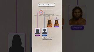 Parts of Your DNA Are More Neanderthal Than Human - David Reich