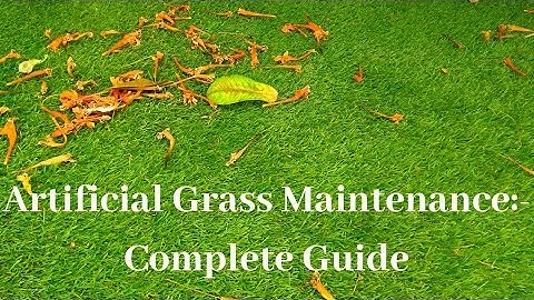 Artificial Grass Maintenance: Complete Guide with Pros & Cons||Backyard Gardening