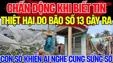 Sau Cơn Bão Kalmaegi: Nước Mắt, Đổ Nát Và Hành Trình Dựng Lại Mái Nhà Miền Trung! | Thấu Kính
