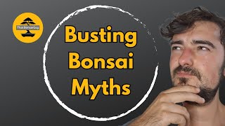 Busting Bonsai Myths: Debunking 6 Common Bonsai Myths and Misconceptions