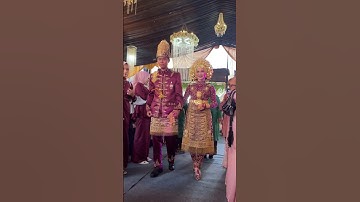 PENGANTIN ACEH #aceh #indonesia #pengantin #video #videoshort #malaysia #langsa #nikah #mc #india