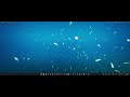 Unreal Engine 5 Oceanology 5.6.0 28 Fish Types!!!