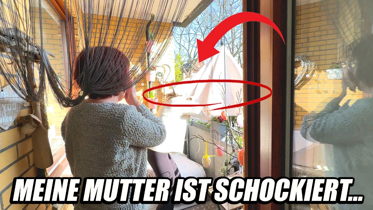 Diese Mail vom Finanzamt kam völlig unerwartet…😬 DAS ist beim Balkon Make Over passiert.. 😵MARIELAND