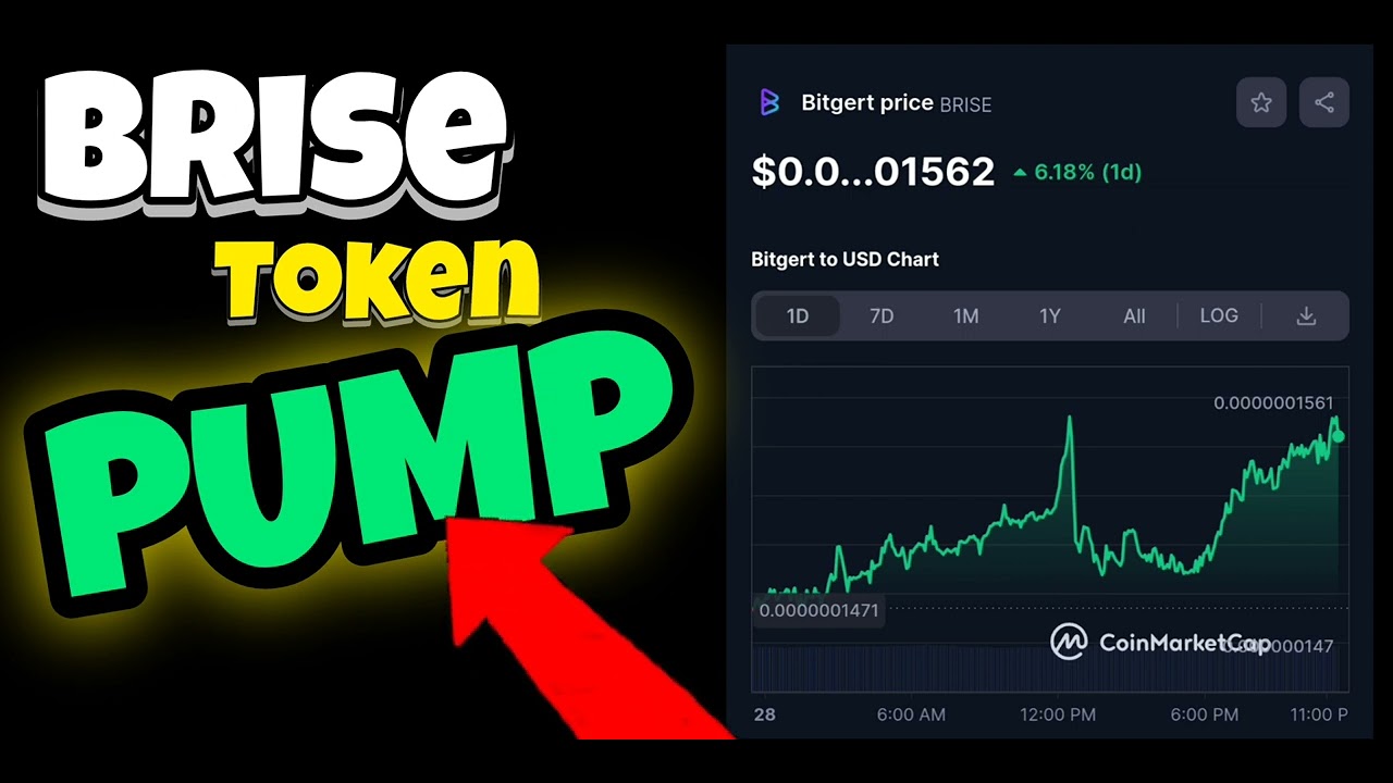 Brise Token Bitgert Empieza Bull Run PUMP