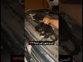 شاب يشغل السياره ويكتشف ان داخل الكبوت قطه 