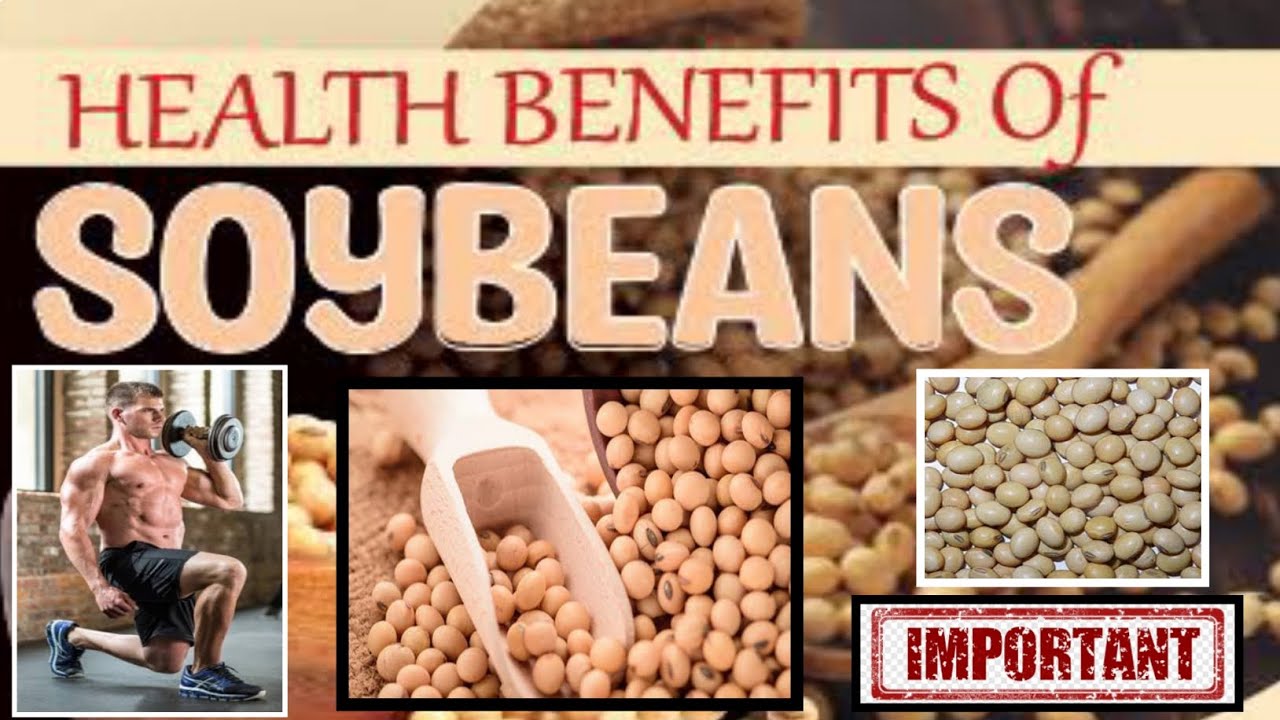 SOYA BEANS BENEFITS IN TAMIL சோயா பீன்ஸ் பயன்கள் BENEFITS OF SOYA