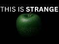Scientists Just Admitted What They've Been Hiding About Reality