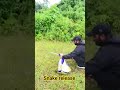snake release #viralchallenge #snake #wildliferescue #youtube #1million #1000subscriber #release