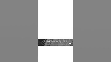 تلاوة جميلة  #القرآن_الكريم #القرآن #تلاوة #الشيخ هيثم الدخين #تلاوة_خاشعة #تلاوات