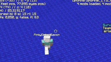 Hacker report Gommehd.net PinkyOinks4Bacon