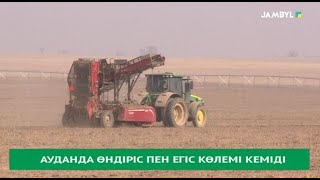 Ауданда өндіріс пен егіс көлемі кеміді