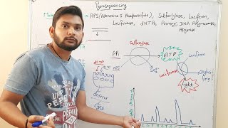 Pyrosequencing||DNA Sequencing|in Hindi