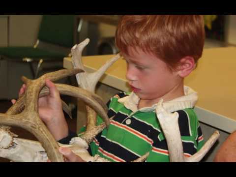 Roebuck Elementary School   STEAM