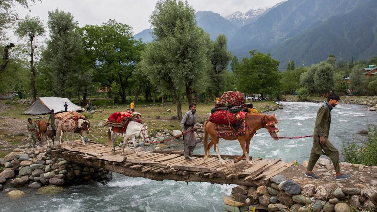 Nomadic family migration - nomads migration IRAN - You will not believe ...