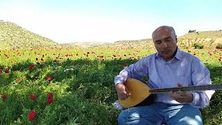 İlhan Aslan Roj Çû Ava