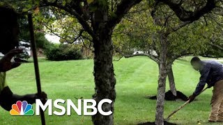 Why Some Businesses Can't Hire American Workers | Velshi & Ruhle | MSNBC