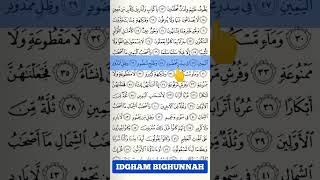 IDGHAM BIGHUNNAH