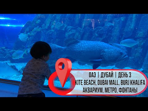 ОАЭ | Дубай | День 3 | Пляж KITE beach, Dubai Mall – самый крупный ТЦ в Мире, аквариум, Burj Khalifa