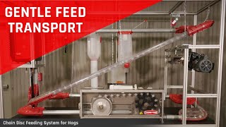 PigTek's ChoreTime Chain Disc Feeding System For Hog Operations