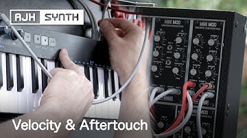 Velocity & Aftertouch - How to control VCA/LFO/VCF with the MiniMod Eurorack Modular Synth