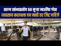 प्रत्येक महिन्याला 5 लाख रुपये निव्वळ नफा | 60 मुर्‍हा म्हशीं | 350 लिटर दररोज दूध | dairy farming