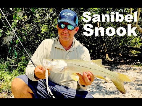 Snook Exploding under bridge