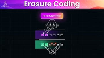 Erasure Coding in Action: How Big Tech Saves Petabytes of Data