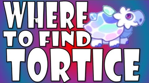 How to Catch Tortice and Glaishell in Prodigy Math!!!