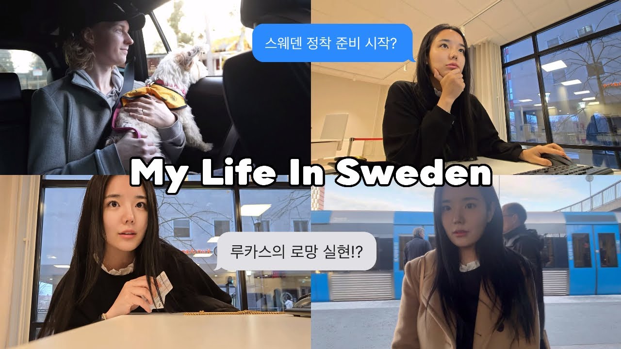 [SUB] 스웨덴 도착하자마자 바쁘다 바빠🇸🇪 • 퍼스널 넘버 신청하기 • 애견용품점 쇼핑 • 정착을 위한 준비 하나 둘 . .