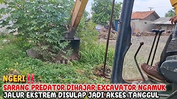 NGERI‼️SARANG PREDATOR DIHAJAR EXCAVATOR NGAMUK JALUR EKSREM DISULAP JADI AKSES TANGGUL