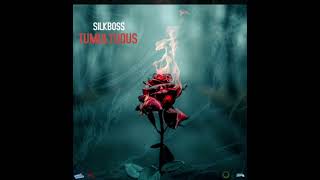Silkboss - Tumultuous (official audio)to Brii