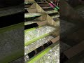 Escaleras de 2 MILLONES en este crucero