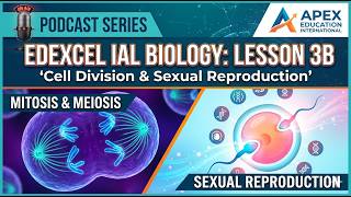 Cell Division and sexual reproduction | Edexcel IAL Biology | Lesson 3A